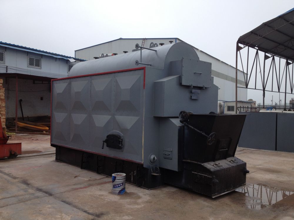DZL chain biomass steam boiler