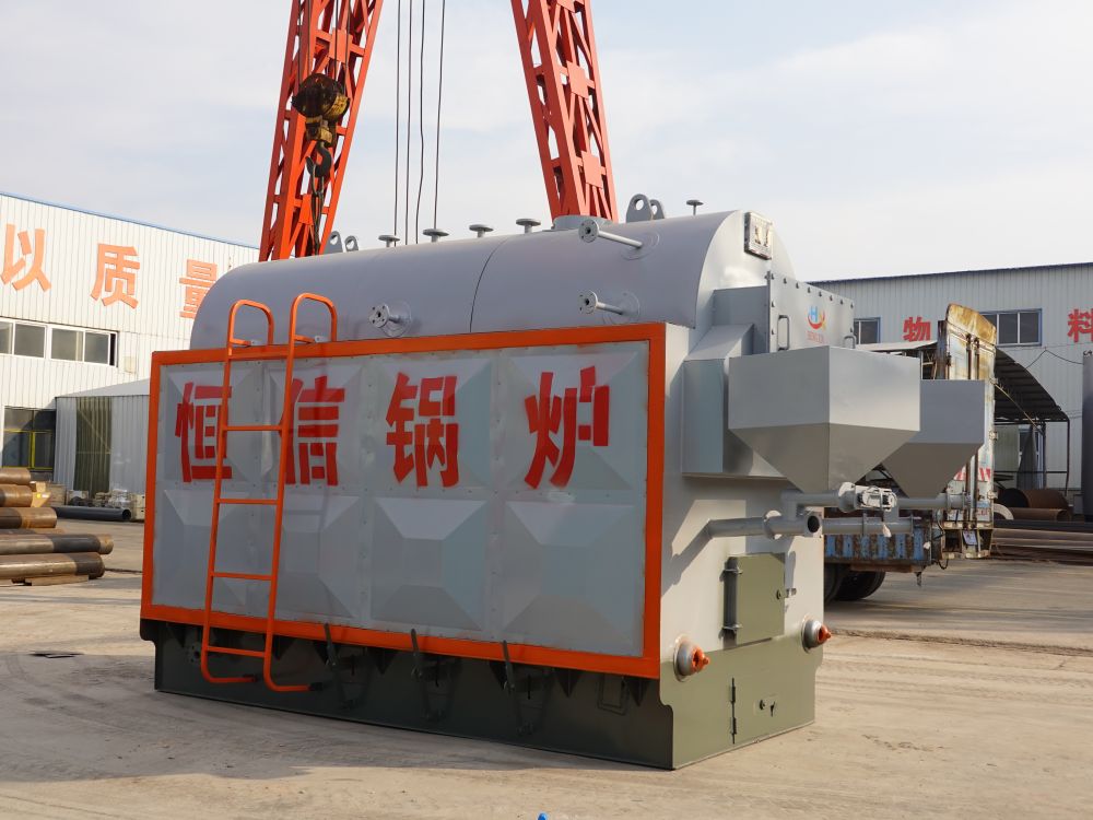 Biomass steam boiler