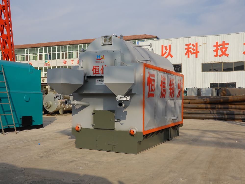 Biomass steam boiler