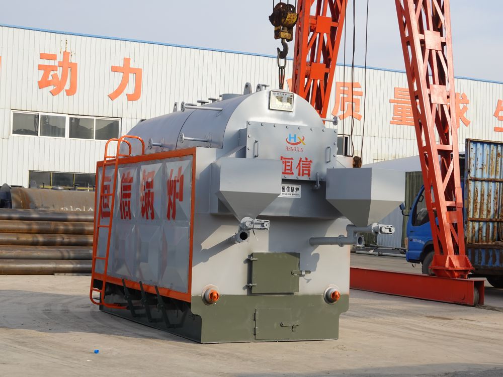 Biomass steam boiler