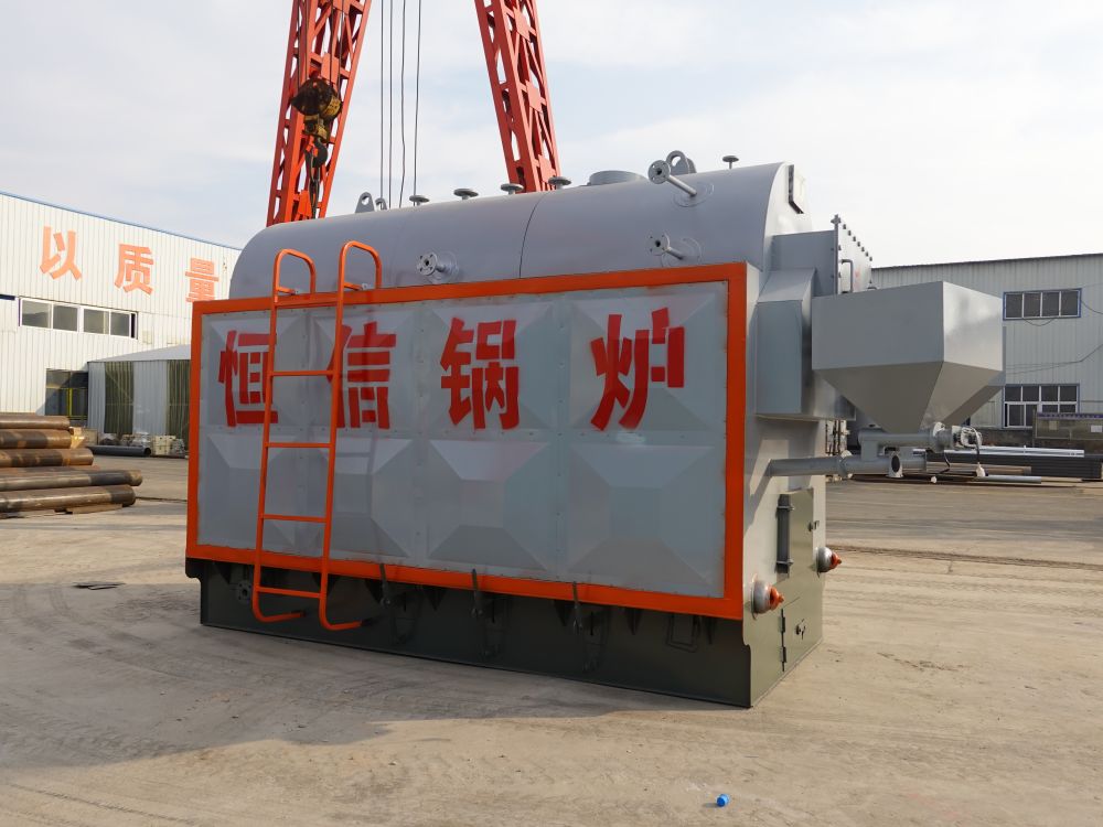 Biomass steam boiler