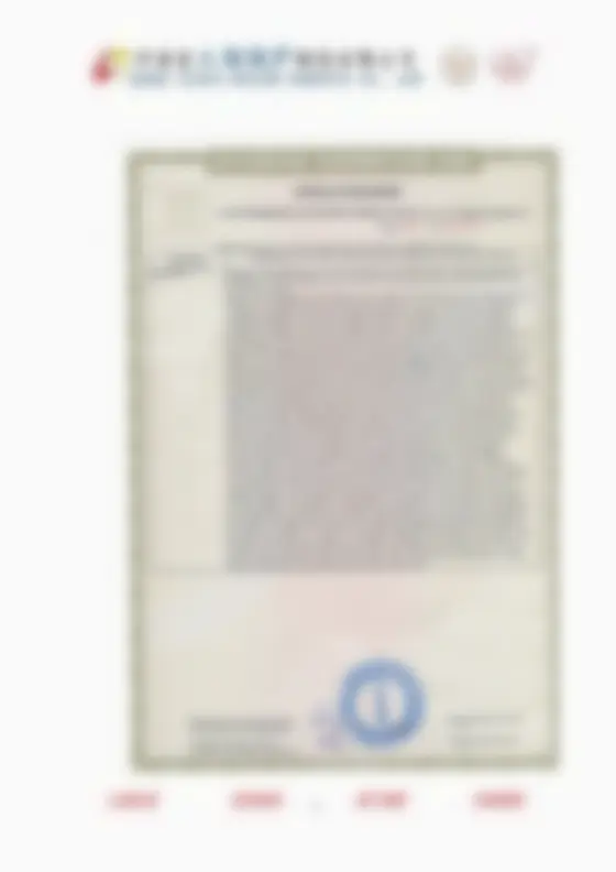 Privacy-protected preview of an authorized manufacturing resource supporting conformity document