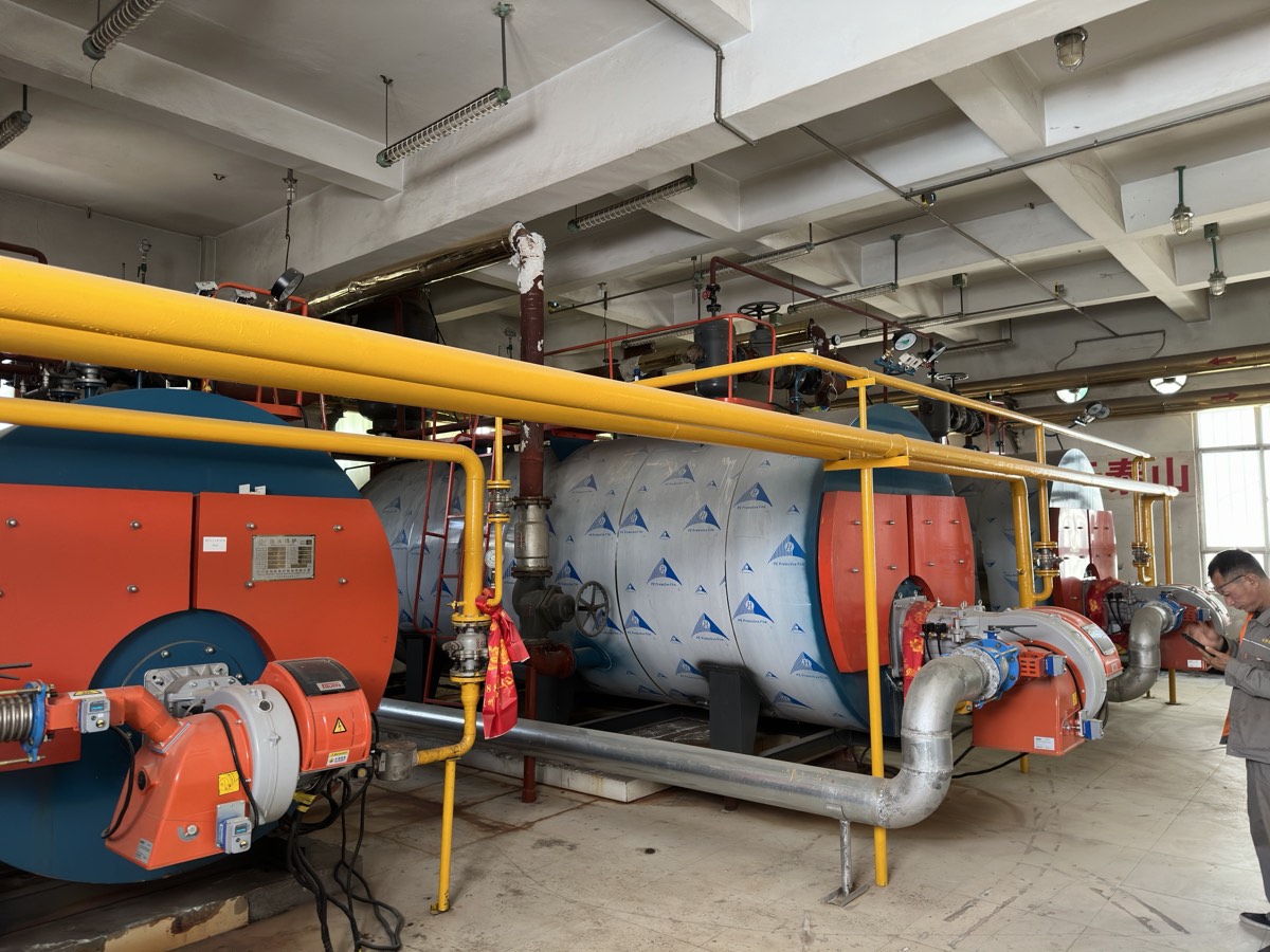 Multiple industrial boilers with shared overhead pipework